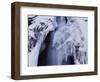 Freeze-WizData-Framed Photographic Print