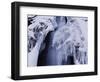 Freeze-WizData-Framed Photographic Print