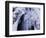 Freeze-WizData-Framed Photographic Print