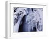 Freeze-WizData-Framed Photographic Print