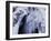 Freeze-WizData-Framed Photographic Print