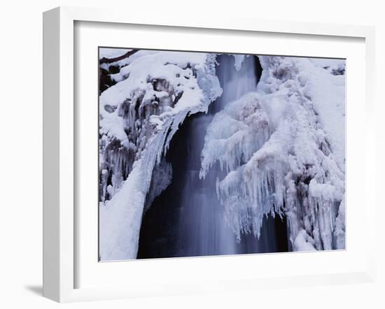 Freeze-WizData-Framed Photographic Print