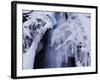 Freeze-WizData-Framed Photographic Print