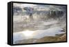 Freezing Mists and Thermal Features, Dawn, West Thumb Geyser Basin-Eleanor Scriven-Framed Stretched Canvas