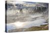 Freezing Mists and Thermal Features, Dawn, West Thumb Geyser Basin-Eleanor Scriven-Stretched Canvas