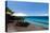 Fregate Island Resort, Seychelles, Indian Ocean, Africa-Sergio Pitamitz-Stretched Canvas