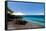 Fregate Island Resort, Seychelles, Indian Ocean, Africa-Sergio Pitamitz-Framed Stretched Canvas