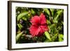 Fregate Island, Seychelles-Sergio Pitamitz-Framed Photographic Print