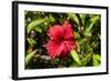 Fregate Island, Seychelles-Sergio Pitamitz-Framed Photographic Print