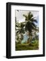 Fregate Island, Seychelles-Sergio Pitamitz-Framed Photographic Print