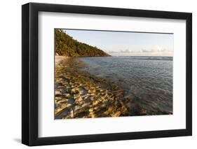 Fregate Island, Seychelles-Sergio Pitamitz-Framed Photographic Print