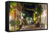 Freiburg, Baden-Wurttemberg, Germany, Europe-Christian Kober-Framed Stretched Canvas