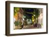 Freiburg, Baden-Wurttemberg, Germany, Europe-Christian Kober-Framed Photographic Print