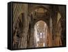 Freiburg Minster, Freiburg, Baden-Wurttemberg, Germany, Europe-Hans Peter Merten-Framed Stretched Canvas