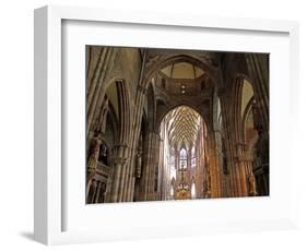 Freiburg Minster, Freiburg, Baden-Wurttemberg, Germany, Europe-Hans Peter Merten-Framed Photographic Print