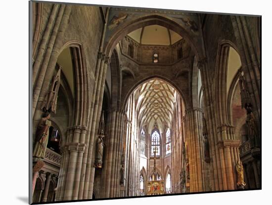 Freiburg Minster, Freiburg, Baden-Wurttemberg, Germany, Europe-Hans Peter Merten-Mounted Photographic Print