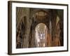 Freiburg Minster, Freiburg, Baden-Wurttemberg, Germany, Europe-Hans Peter Merten-Framed Photographic Print