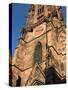 Freiburg Minster, Freiburg, Baden-Wurttemberg, Germany, Europe-Hans Peter Merten-Stretched Canvas