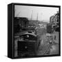 Freight Cars in the New York Dock Co. Yards on Brooklyn N.Y. Waterfront-Ralph Morse-Framed Stretched Canvas