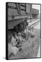 Freight Train Family-Dorothea Lange-Framed Stretched Canvas