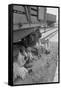 Freight Train Family-Dorothea Lange-Framed Stretched Canvas