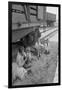 Freight Train Family-Dorothea Lange-Framed Art Print