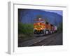 Freight Train Moving on Tracks, Stevenson, Columbia River Gorge, Washington, USA-Steve Terrill-Framed Photographic Print