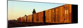 Freight Train on the Railroad Tracks, Central Valley, California, USA-null-Mounted Photographic Print