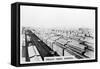 Freight Yards, Winnipeg, Manitoba, Canada, C1920S-null-Framed Stretched Canvas