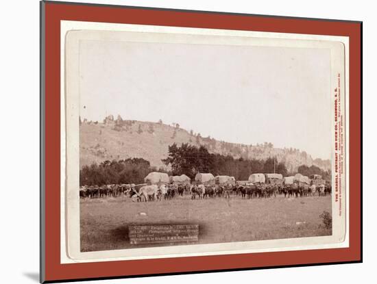 Freighting in the Black Hills. Photographed Between Sturgis and Deadwood-John C. H. Grabill-Mounted Giclee Print