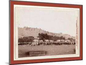 Freighting in the Black Hills. Photographed Between Sturgis and Deadwood-John C. H. Grabill-Mounted Giclee Print