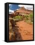 Fremont River, Capitol Reef National Park, Utah, Usa-Dave Welling-Framed Stretched Canvas