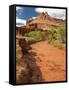 Fremont River, Capitol Reef National Park, Utah, Usa-Dave Welling-Framed Stretched Canvas