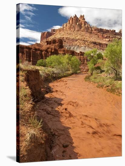 Fremont River, Capitol Reef National Park, Utah, Usa-Dave Welling-Stretched Canvas