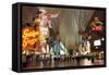 Fremont Street Experience Las Vegas, Nevada, USA-Michael DeFreitas-Framed Stretched Canvas