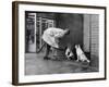 French Actor Jacques Tati Talking to a Couple of Dogs-Yale Joel-Framed Premium Photographic Print