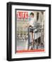 French Actress Audrey Tautou Outdoors on a Balcony in Paris, May 19, 2006-Greg Kadel-Framed Photographic Print