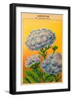 French Ageratum Seed Packet-null-Framed Art Print