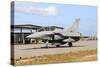 French Air Force Rafale B Taxiing at Natal Air Force Base, Brazil-Stocktrek Images-Stretched Canvas