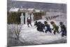 French and Indian Attack on Schenectady, New York during the Winter of 1689-1690-null-Mounted Giclee Print