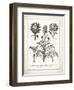 French Artichokes-Gwendolyn Babbitt-Framed Art Print