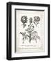 French Artichokes-Gwendolyn Babbitt-Framed Art Print