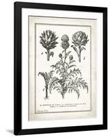 French Artichokes-Gwendolyn Babbitt-Framed Art Print