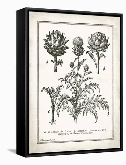 French Artichokes-Gwendolyn Babbitt-Framed Stretched Canvas