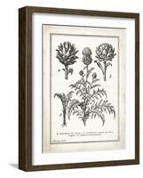 French Artichokes-Gwendolyn Babbitt-Framed Art Print