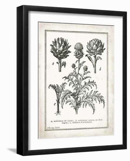 French Artichokes-Gwendolyn Babbitt-Framed Art Print