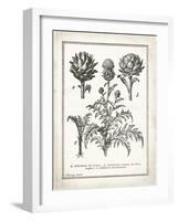 French Artichokes-Gwendolyn Babbitt-Framed Art Print