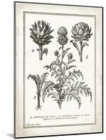 French Artichokes-Gwendolyn Babbitt-Mounted Art Print