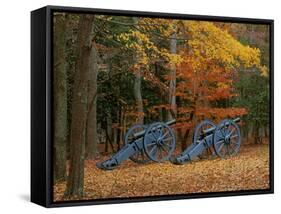 French Artillery, Colonial National Historic Park, Virginia, USA-Charles Gurche-Framed Stretched Canvas