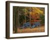 French Artillery, Colonial National Historic Park, Virginia, USA-Charles Gurche-Framed Premium Photographic Print